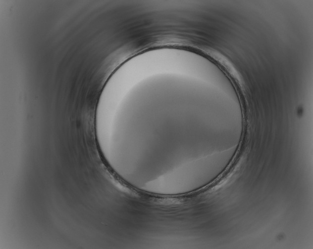 X0000094221337200711241713