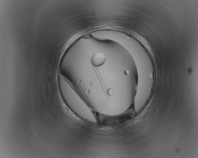 X0000094221338200711241713