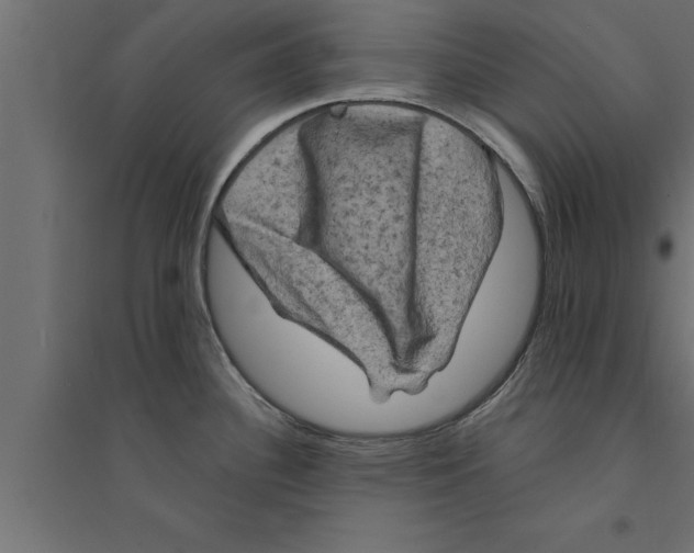 X0000094221340200711241713