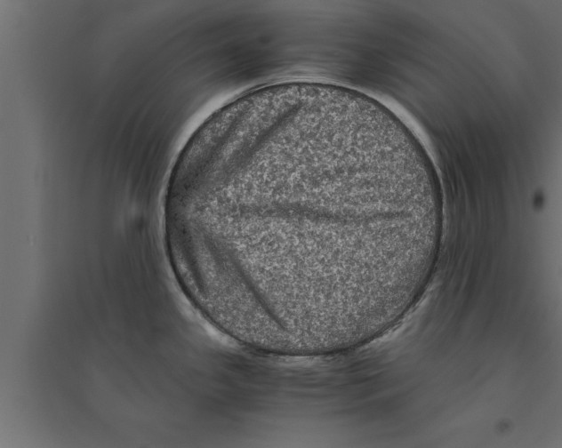 X0000094221341200711241713