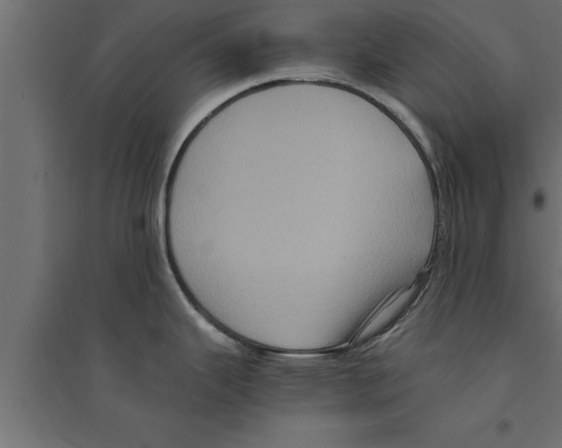 X0000094221343200711241713