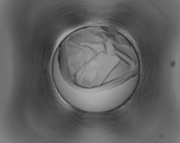 X0000094221344200711241713