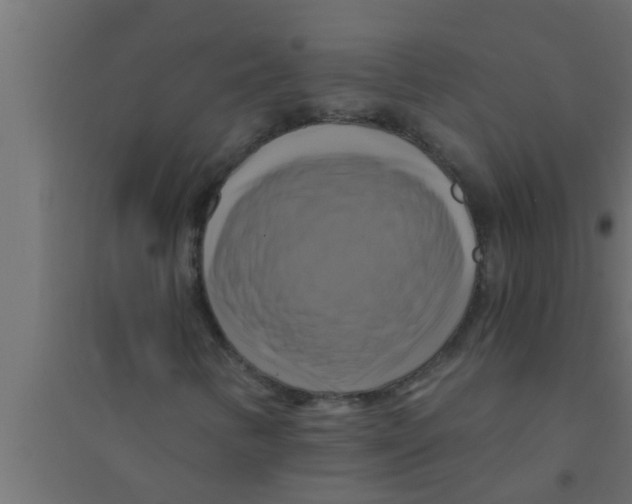 X0000094221346200711241713