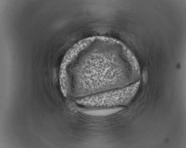 X0000094221347200711241713