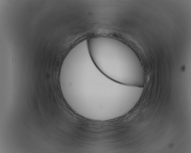 X0000094221348200711241712