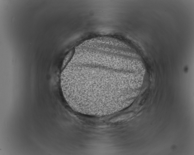 X0000094221349200711241712