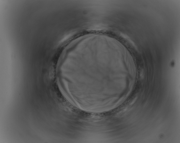 X0000094221350200711241712