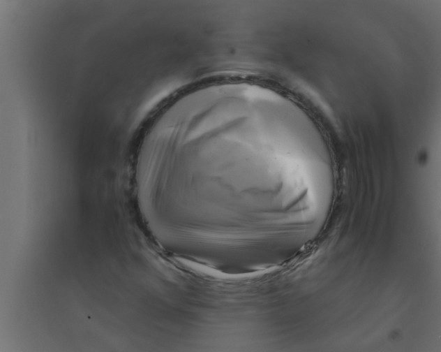 X0000094221352200711241712