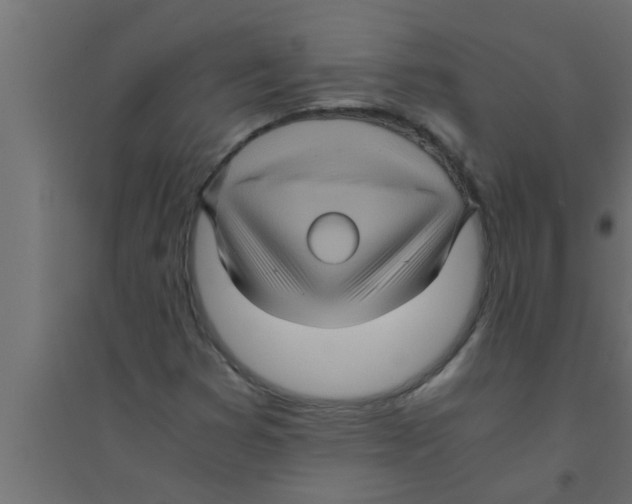 X0000094221353200711241712