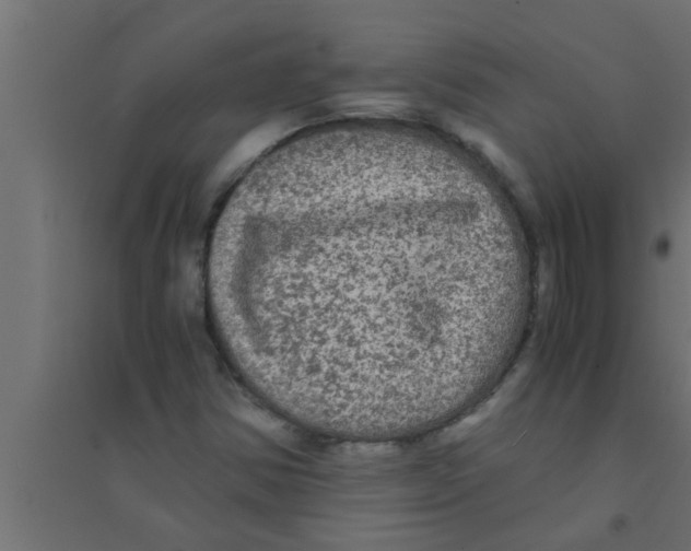 X0000094221354200711241712