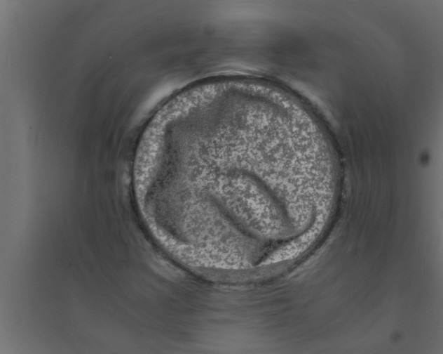 X0000094221355200711241712