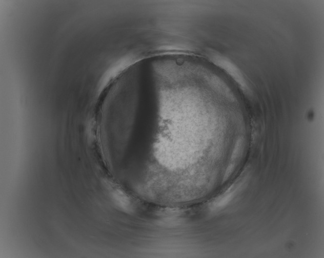 X0000094221357200711241712