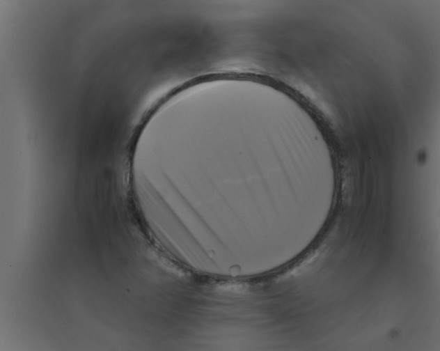 X0000094221358200711241712