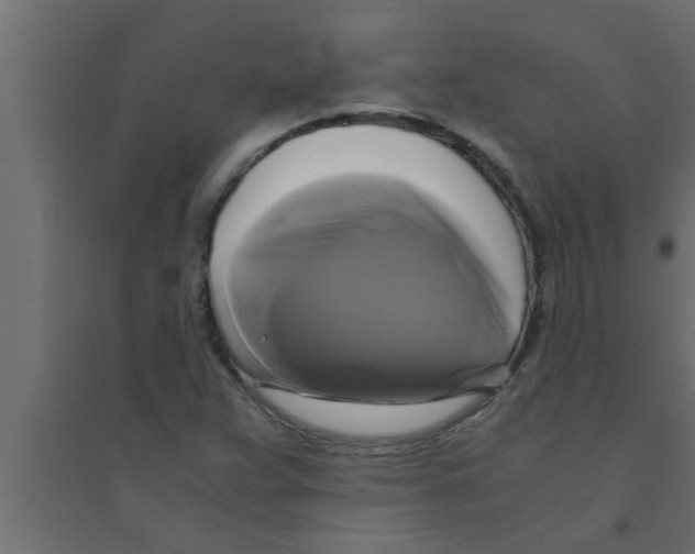 X0000094221359200711241712