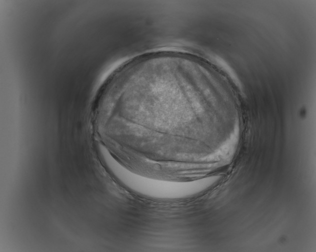 X0000094221360200711241712