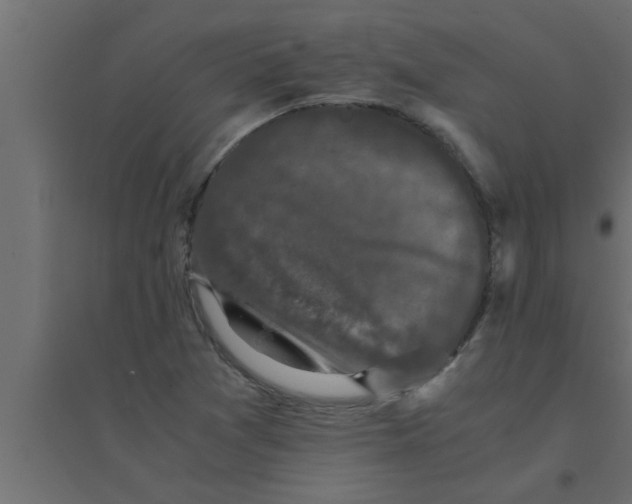 X0000094221361200711241712