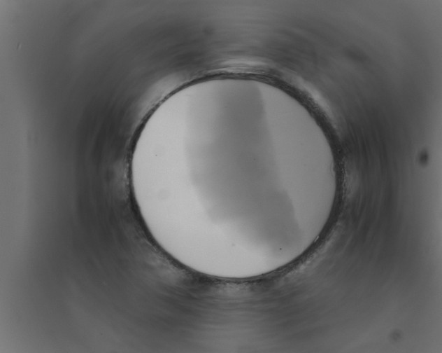 X0000094221362200711241712