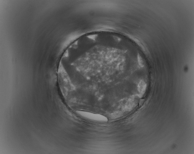 X0000094221363200711241712