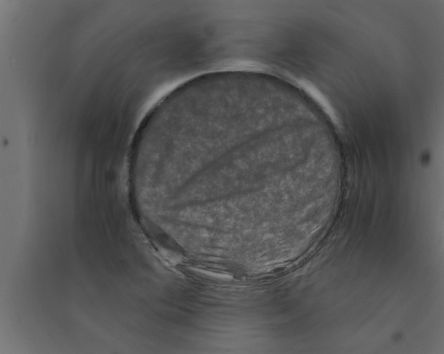 X0000094221364200711241712