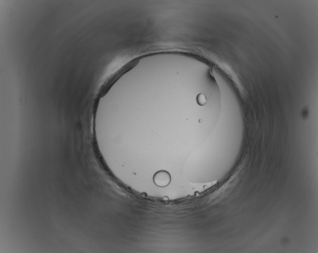 X0000094221365200711241712