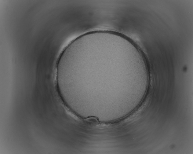 X0000094221366200711241712