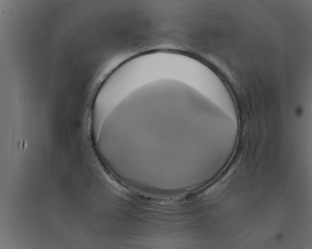 X0000094221367200711241712