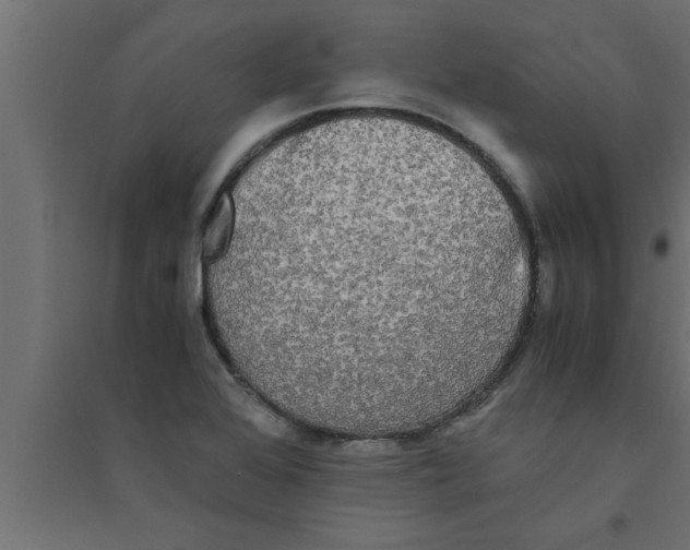 X0000094221368200711241712