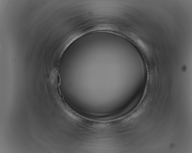 X0000094221369200711241712