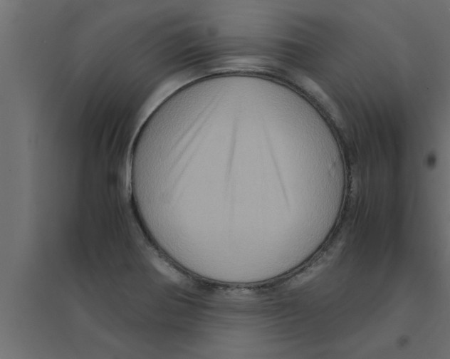 X0000094221370200711241712