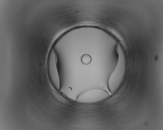 X0000094221372200711241712