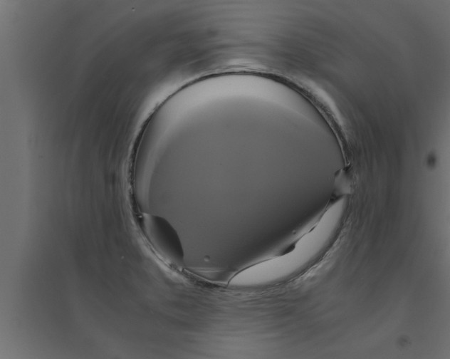 X0000094221373200711241712