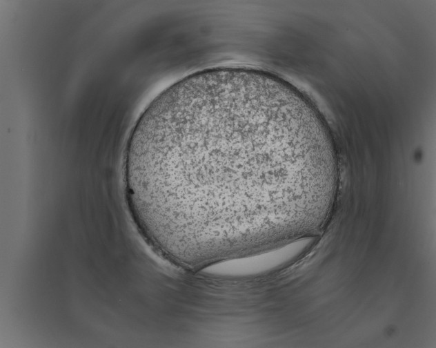 X0000094221375200711241712