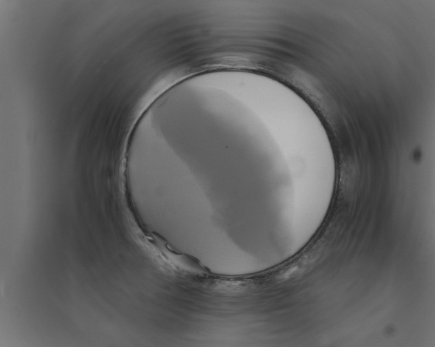 X0000094221378200711241712