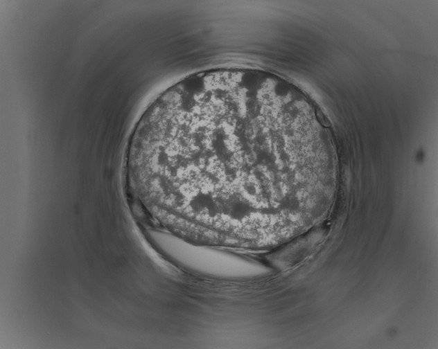 X0000094221379200711241712