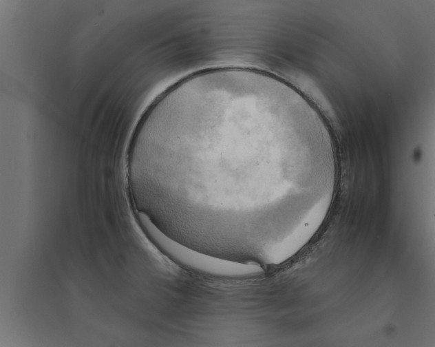 X0000094221380200711241712