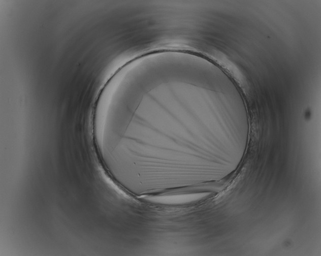 X0000094221382200711241712