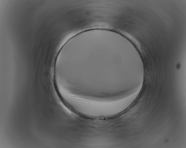 X0000094221383200711241712