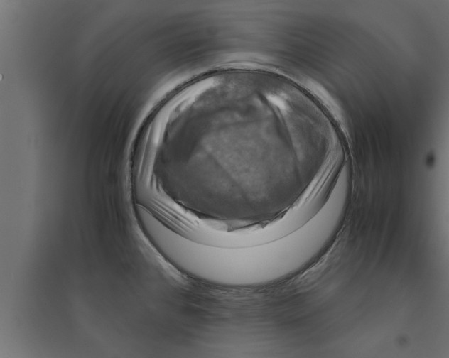 X0000094221384200711241712