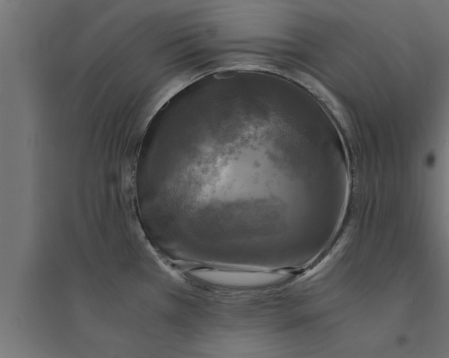 X0000094221385200711241712