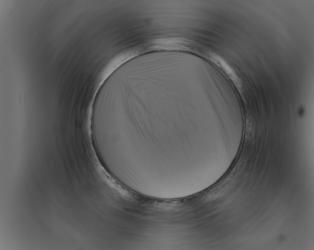 X0000094221386200711241712