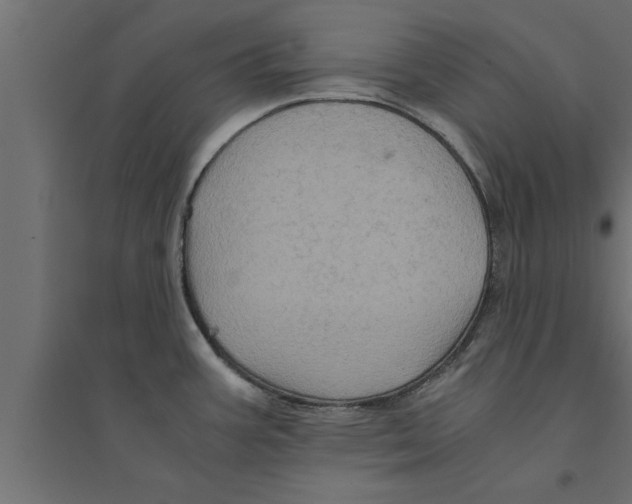 X0000094221387200711241712