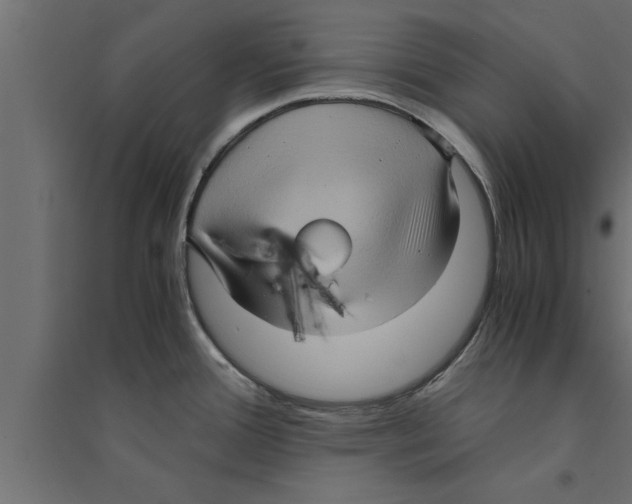 X0000094221388200711241712