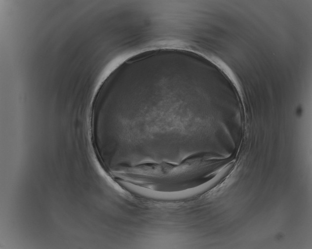 X0000094221389200711241712