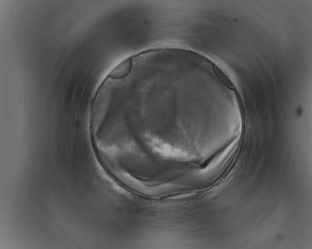 X0000094221390200711241712