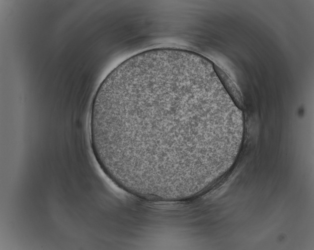 X0000094221391200711241712