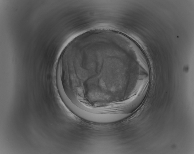 X0000094221392200711241712