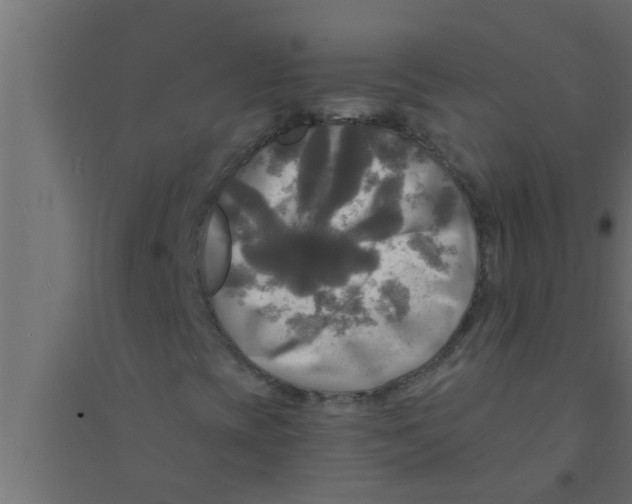 X0000094221393200711241711