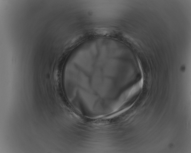 X0000094221394200711241711