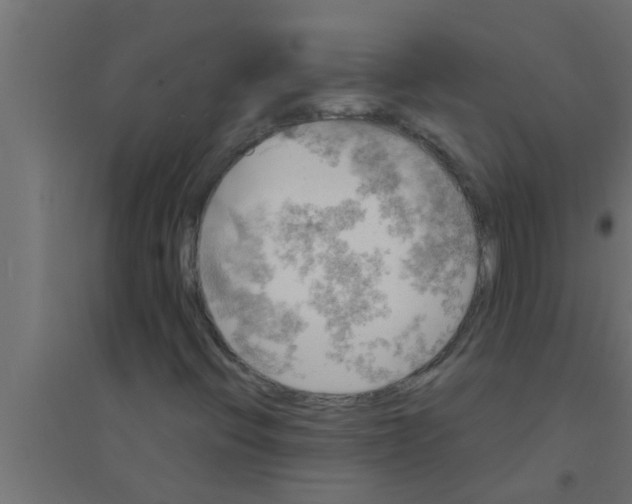 X0000094221396200711241711