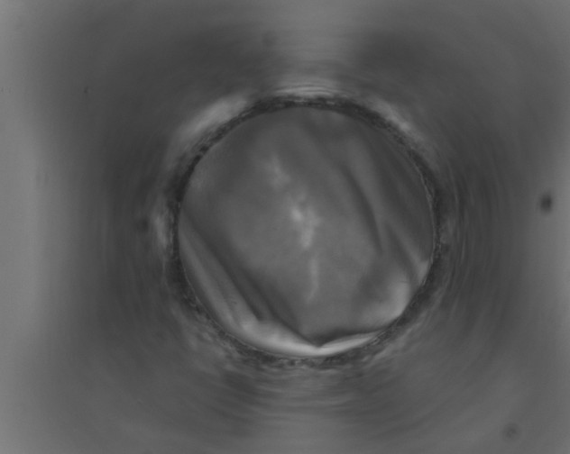 X0000094221398200711241711